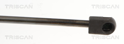 Muelle neumático Triscan A/S ref. 8710 25244