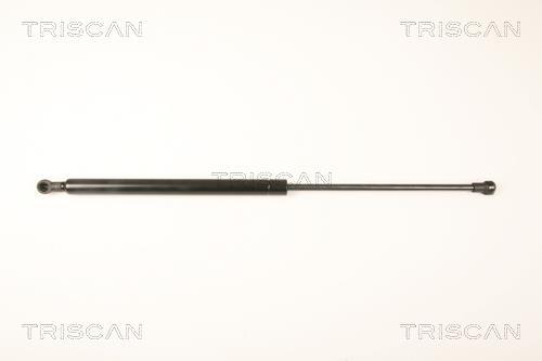 Muelle neumático Triscan A/S ref. 8710 25245