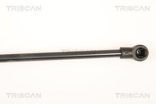 Muelle neumático Triscan A/S ref. 8710 25245