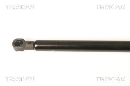 Vérin (Vérin de hayon) Triscan A/S ref. 8710 25248