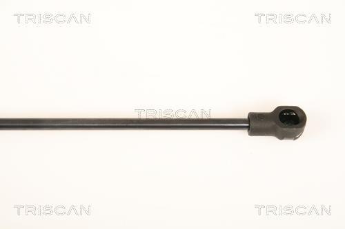 Vérin (Vérin de hayon) Triscan A/S ref. 8710 25248