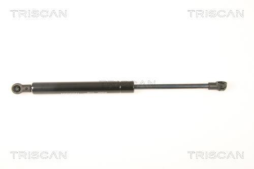 Vérin (Vérin de hayon) Triscan A/S ref. 8710 25249