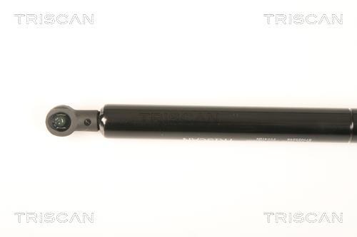 Vérin (Vérin de hayon) Triscan A/S ref. 8710 25249