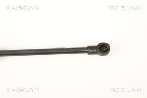 Vérin (Vérin de hayon) Triscan A/S ref. 8710 25249