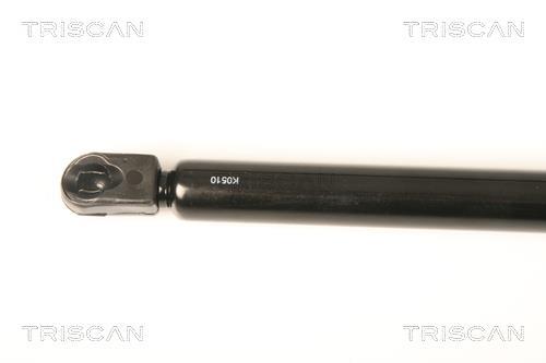 Vérin (Vérin de hayon) Triscan A/S 8710 25250