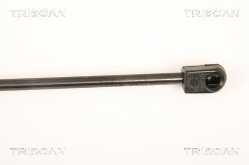 Vérin (Vérin de hayon) Triscan A/S 8710 25250