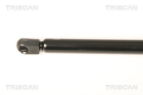 Vérin (Vérin de hayon) Triscan A/S ref. 8710 25251