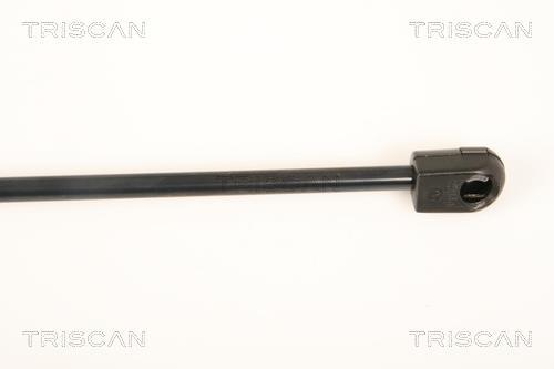 Vérin (Vérin de hayon) Triscan A/S ref. 8710 25251