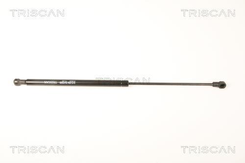Vérin (Vérin de hayon) Triscan A/S 8710 25252