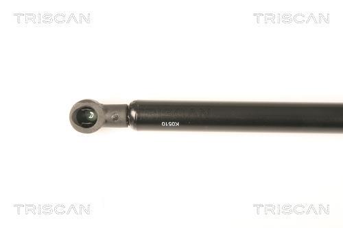 Vérin (Vérin de hayon) Triscan A/S 8710 25252
