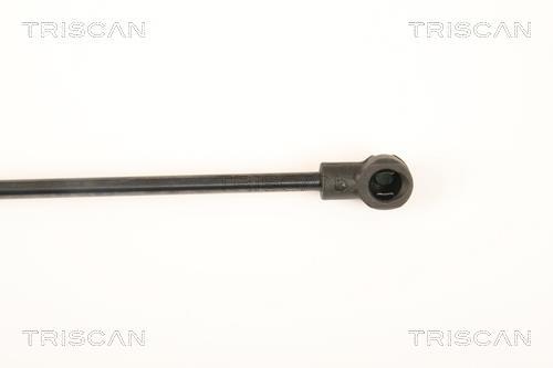 Vérin (Vérin de hayon) Triscan A/S 8710 25252