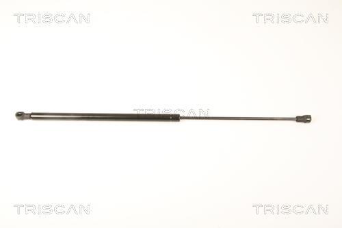 Vérin (Vérin de hayon) Triscan A/S 8710 25253