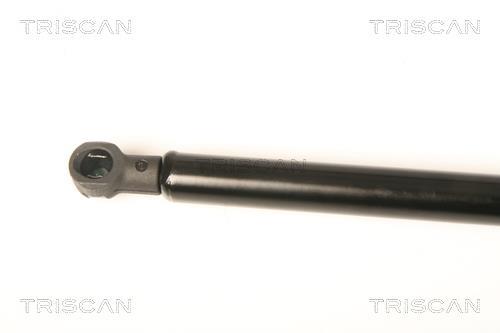 Vérin (Vérin de hayon) Triscan A/S 8710 25253