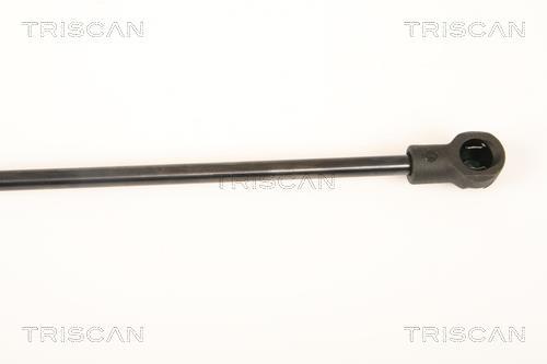 Vérin (Vérin de hayon) Triscan A/S 8710 25253