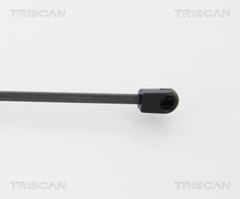 Vérin (Vérin de hayon) Triscan A/S 8710 25254