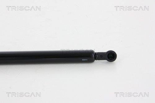 Vérin (Vérin de hayon) Triscan A/S 8710 25255