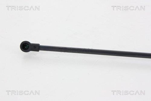 Vérin (Vérin de hayon) Triscan A/S 8710 25255