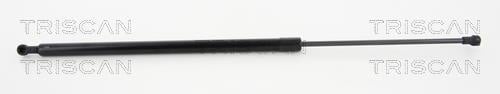 Cilindro Triscan A/S ref. 8710 25256