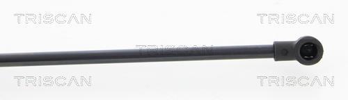Cilindro Triscan A/S ref. 8710 25256