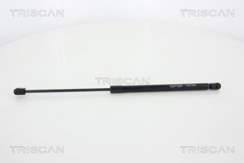 Vérin (Vérin de hayon) Triscan A/S ref. 8710 25257