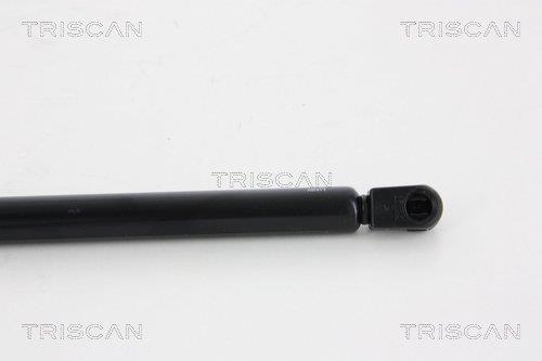 Vérin (Vérin de hayon) Triscan A/S ref. 8710 25257