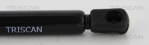 Cilindro Triscan A/S 8710 25263