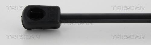 Cilindro Triscan A/S 8710 25263