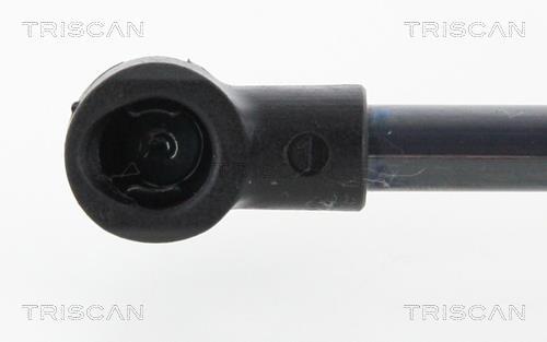 Vérin (Vérin de hayon) Triscan A/S 8710 25266