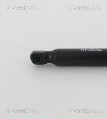 Vérin (Vérin de hayon) Triscan A/S 8710 25267