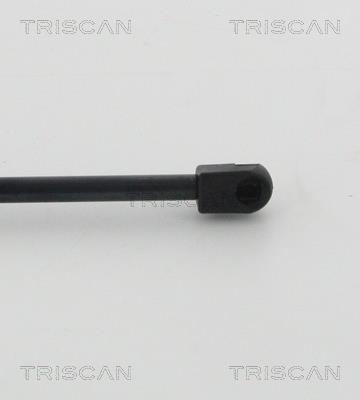 Vérin (Vérin de hayon) Triscan A/S 8710 25267