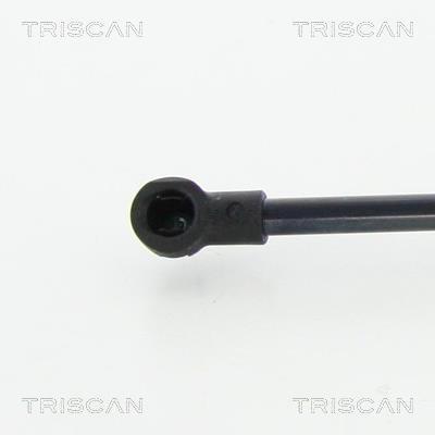 Vérin (Vérin de hayon) Triscan A/S 8710 25268