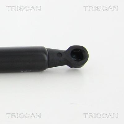 Vérin (Vérin de hayon) Triscan A/S 8710 25268