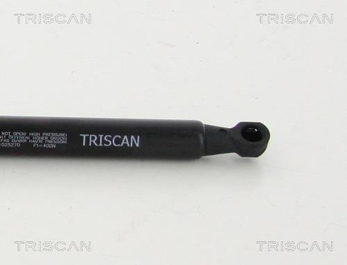 Vérin (Vérin de hayon) Triscan A/S 8710 25270