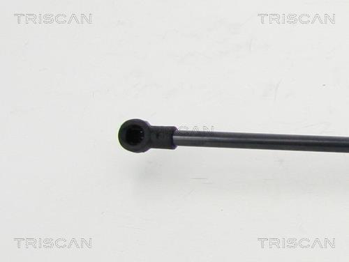 Vérin (Vérin de hayon) Triscan A/S 8710 25270