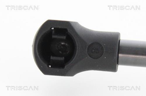 Cilindro Triscan A/S 8710 25272