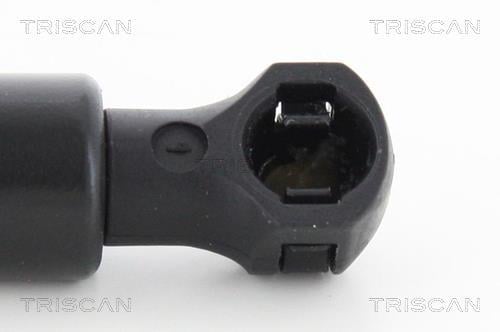 Cilindro Triscan A/S 8710 25272