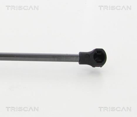 Muelle neumático Triscan A/S ref. 8710 25273