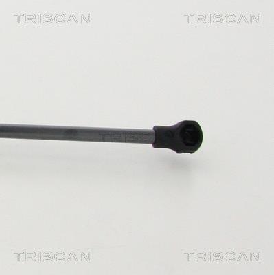 Vérin (Vérin de hayon) Triscan A/S 8710 25277