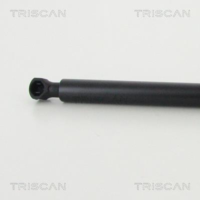 Vérin (Vérin de hayon) Triscan A/S 8710 25277