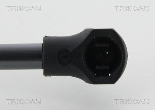 Cilindro Triscan A/S ref. 8710 25278