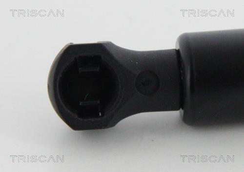 Cilindro Triscan A/S ref. 8710 25278