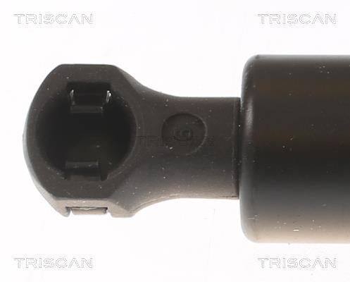 Cilindro Triscan A/S ref. 8710 25279