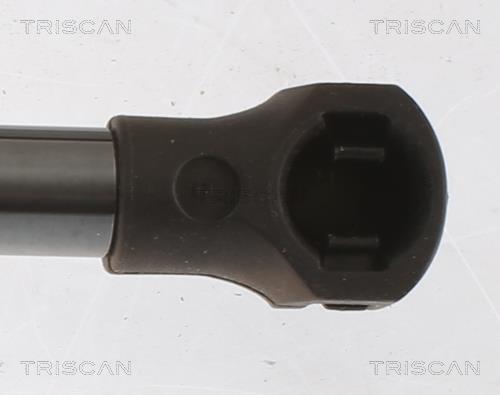 Cilindro Triscan A/S ref. 8710 25279