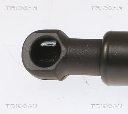 Vérin (Vérin de hayon) Triscan A/S 8710 25280