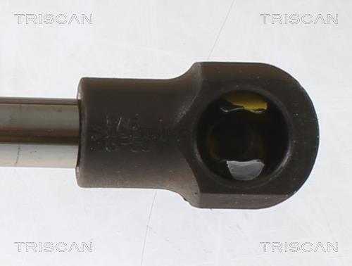 Vérin (Vérin de hayon) Triscan A/S 8710 25280
