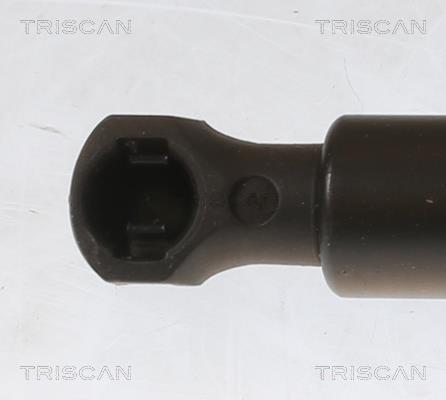 Vérin (Vérin de hayon) Triscan A/S ref. 8710 25281