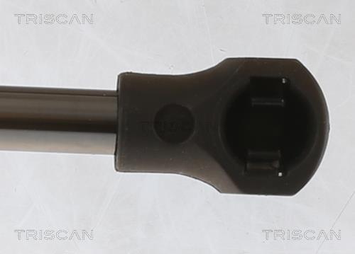 Vérin (Vérin de hayon) Triscan A/S ref. 8710 25281