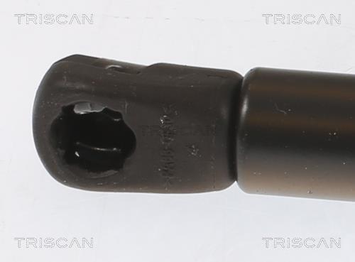 Vérin (Vérin de hayon) Triscan A/S ref. 8710 25282