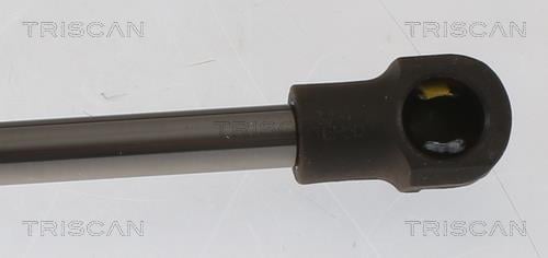 Vérin (Vérin de hayon) Triscan A/S ref. 8710 25282