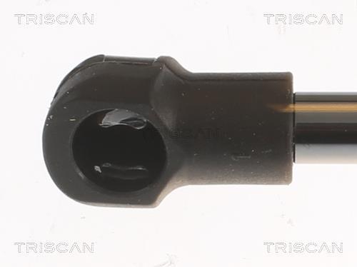 Vérin (Vérin de hayon) Triscan A/S 8710 25283